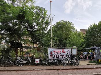 Mbd M Festival Vk Website